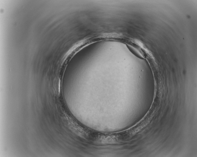 X0000087401221200705042027