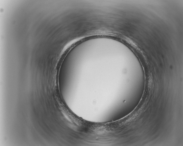 X0000087401222200705042027