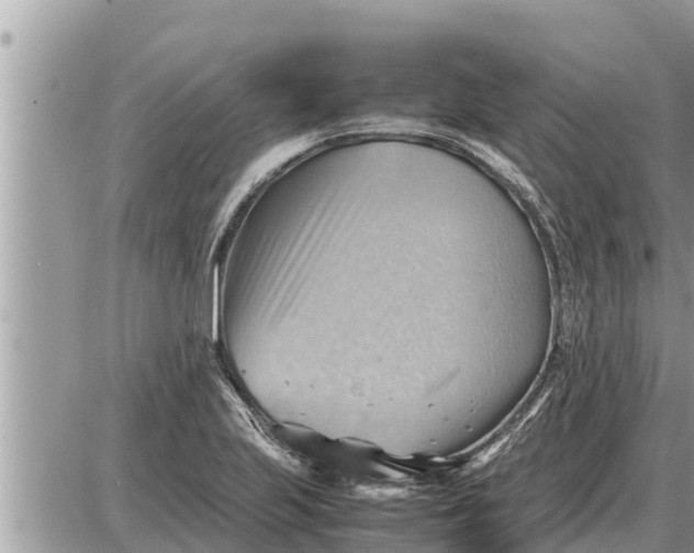 X0000087401223200705042027