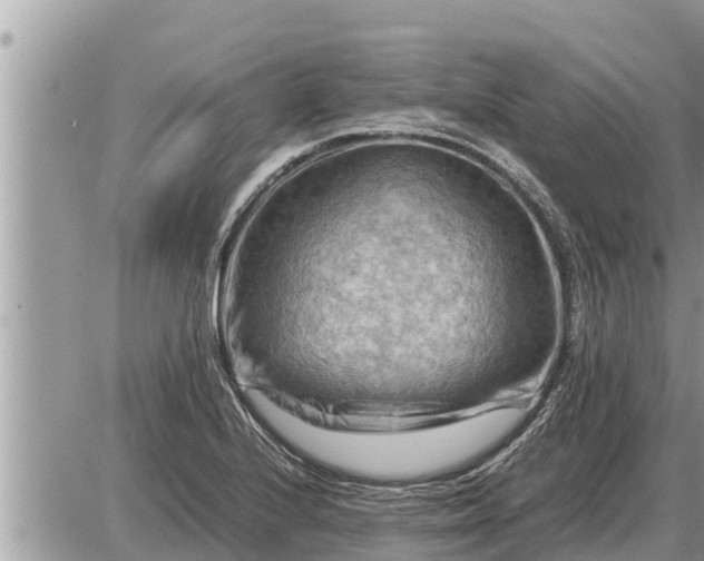 X0000087401224200705042027