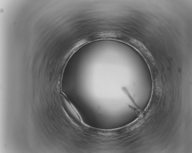 X0000087401225200705042027