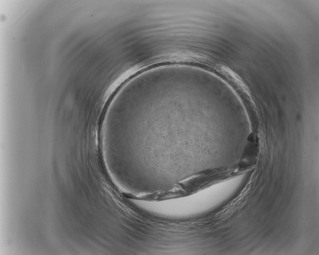 X0000087401226200705042027