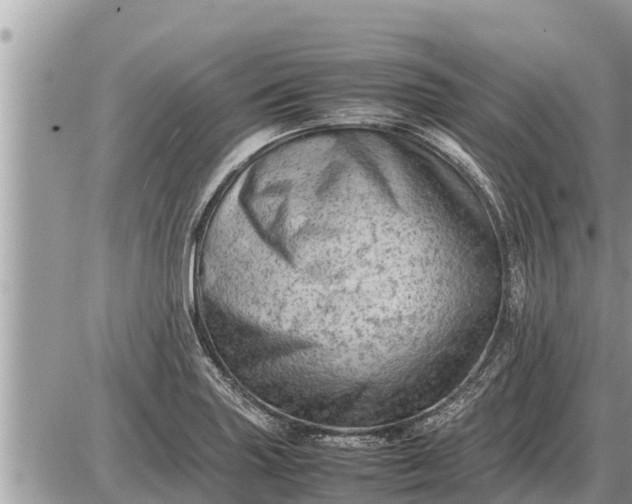 X0000087401227200705042027