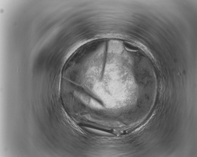 X0000087401228200705042027