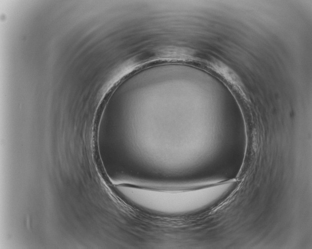 X0000087401229200705042027