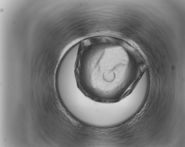 X0000087401230200705042027