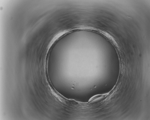 X0000087401231200705042027