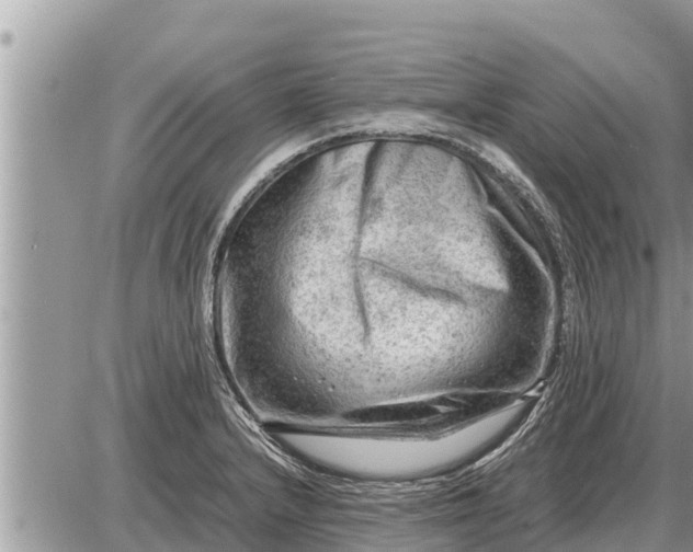 X0000087401232200705042027