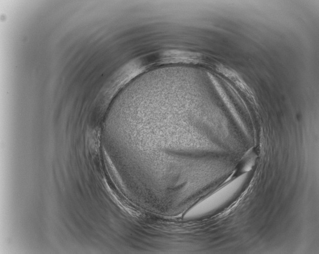 X0000087401233200705042027