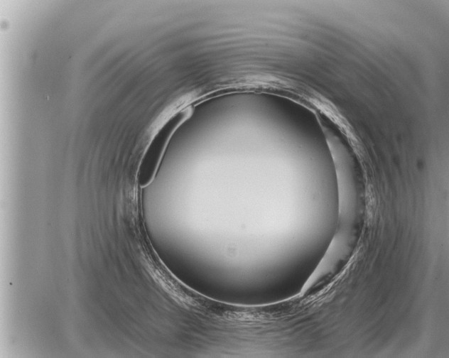 X0000087401234200705042027