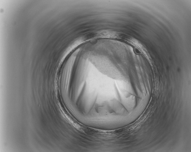 X0000087401235200705042027