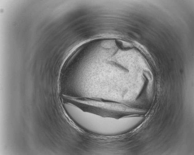 X0000087401236200705042027