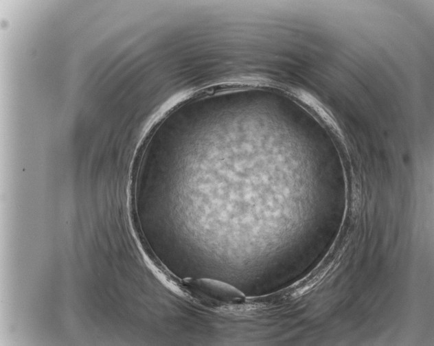 X0000087401237200705042027