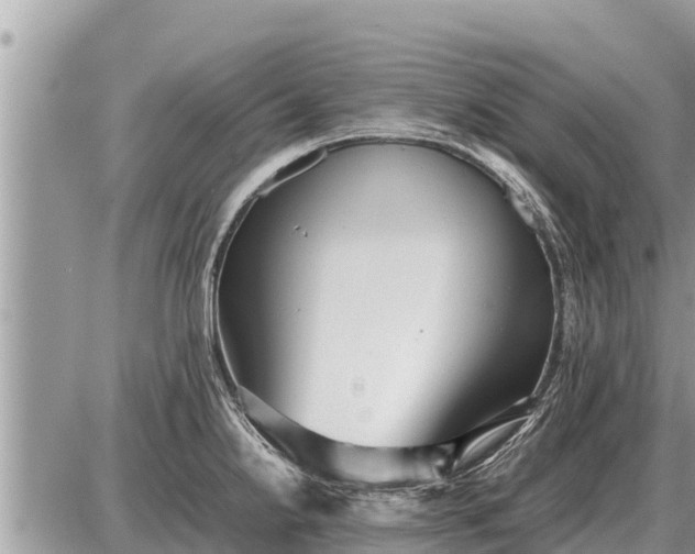 X0000087401238200705042027