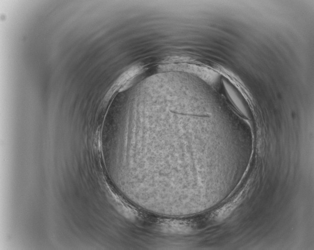 X0000087401241200705042027