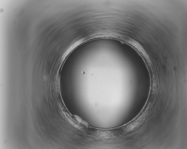 X0000087401242200705042027