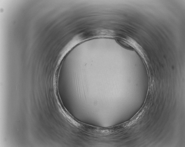 X0000087401243200705042027