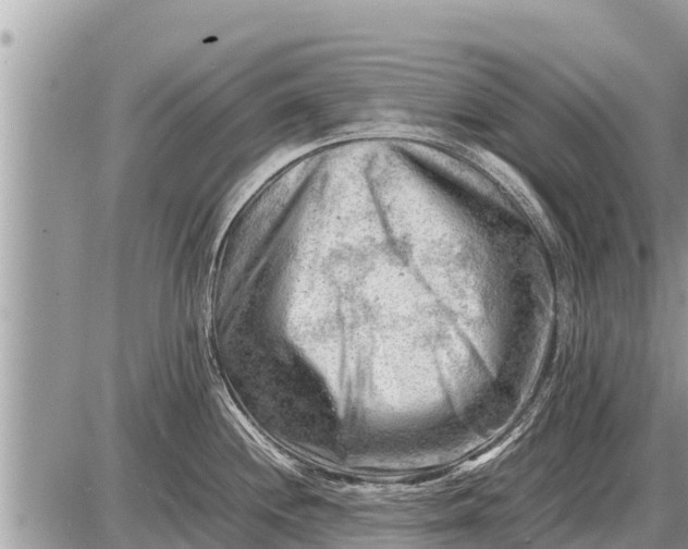 X0000087401244200705042027