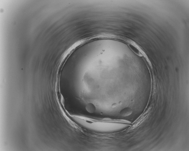 X0000087401245200705042027