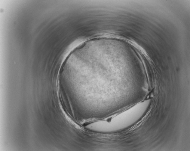 X0000087401247200705042027