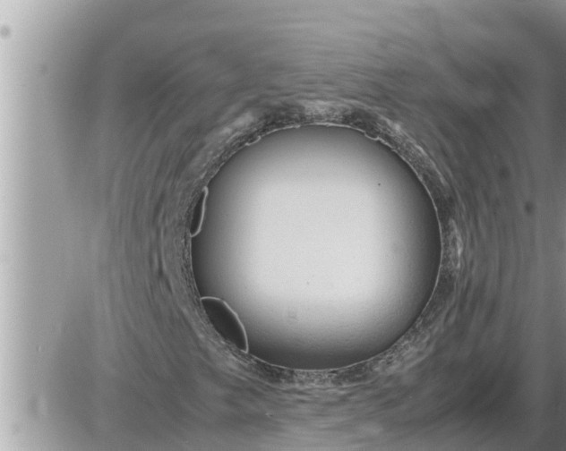 X0000087401249200705042027