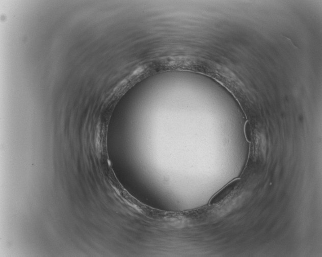 X0000087401250200705042027