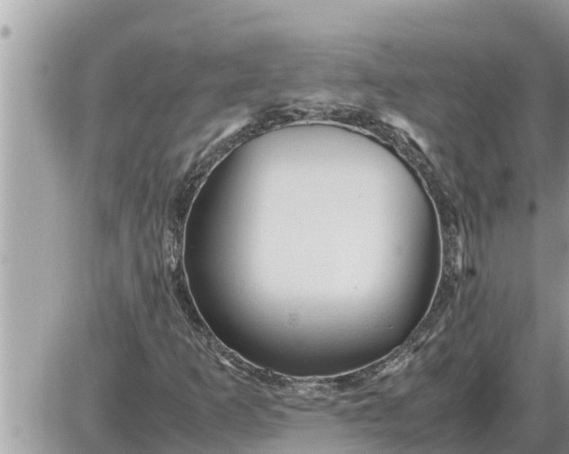 X0000087401253200705042027