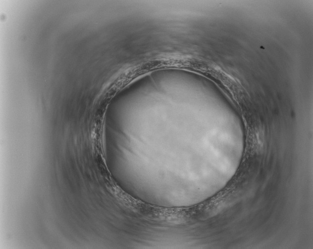 X0000087401254200705042027