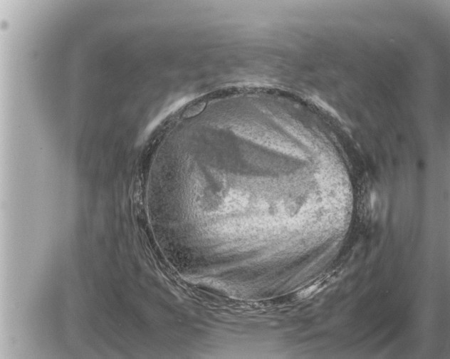 X0000087401255200705042027