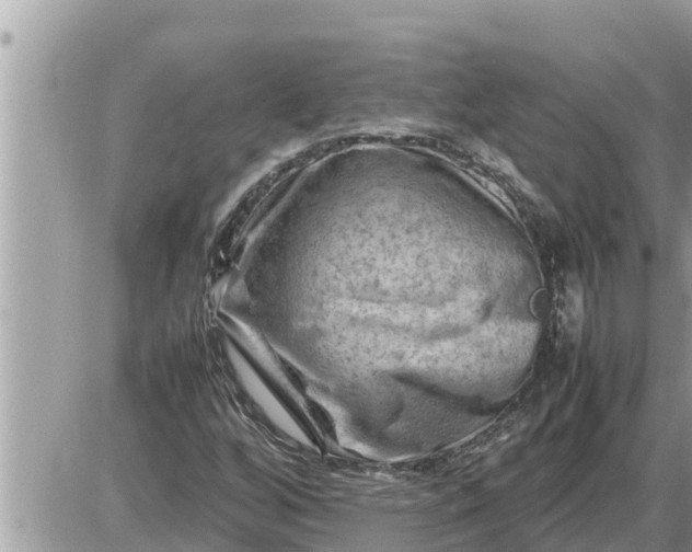 X0000087401256200705042027