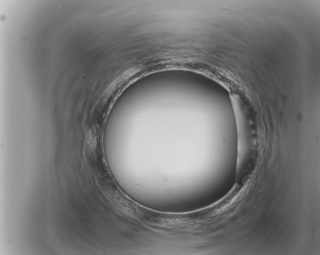 X0000087401257200705042026