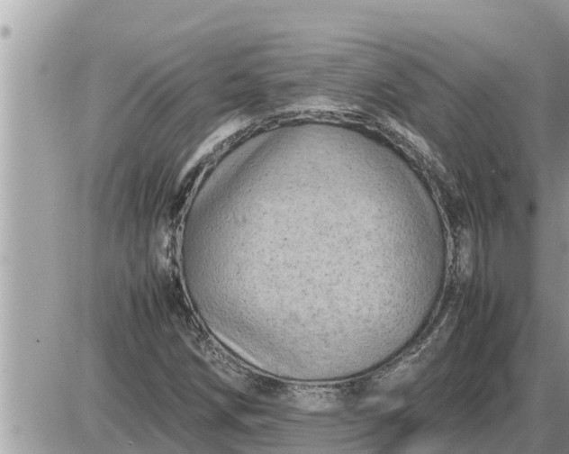 X0000087401258200705042026