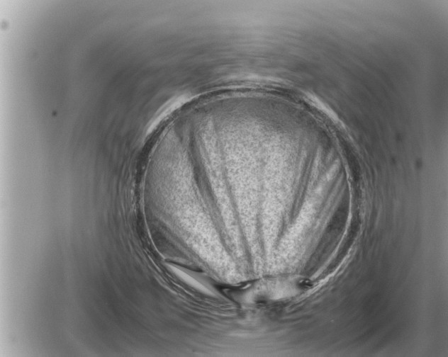 X0000087401259200705042026