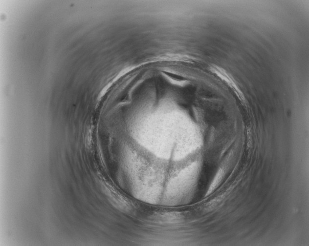 X0000087401260200705042026