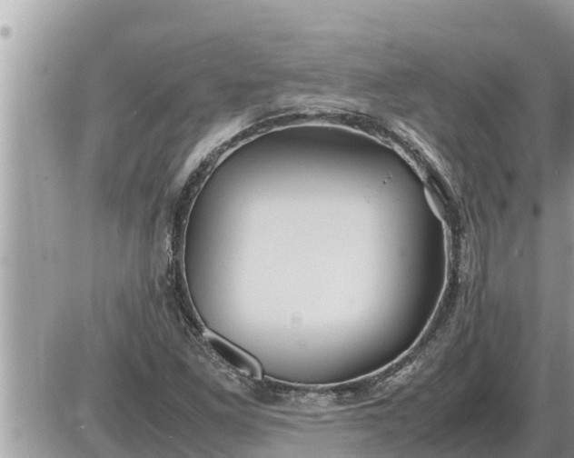 X0000087401261200705042026