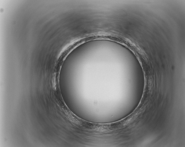 X0000087401262200705042026