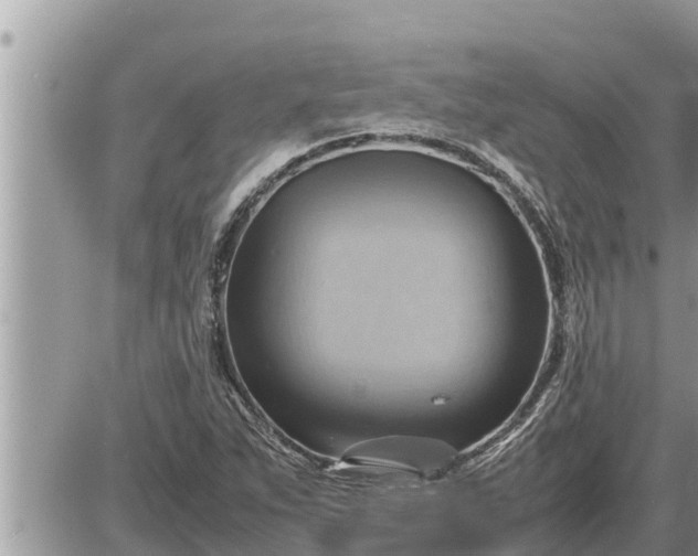 X0000087401263200705042026