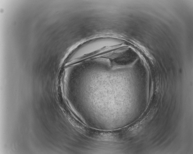 X0000087401264200705042026