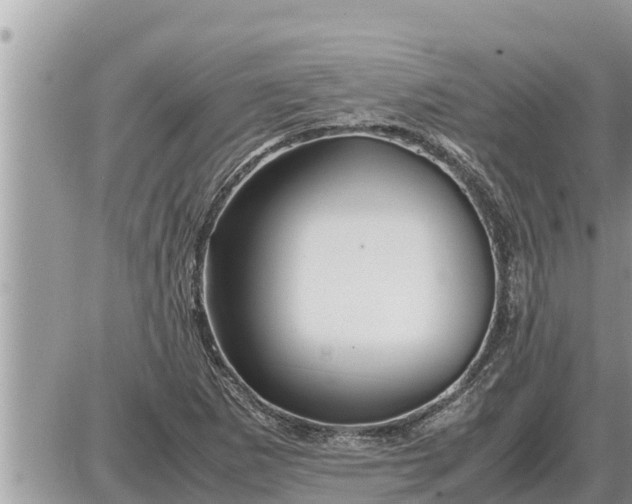 X0000087401265200705042026