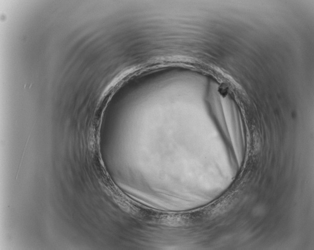 X0000087401266200705042026