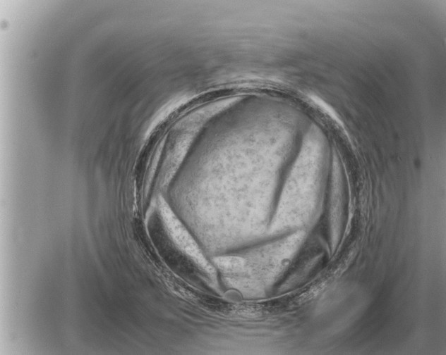 X0000087401267200705042026