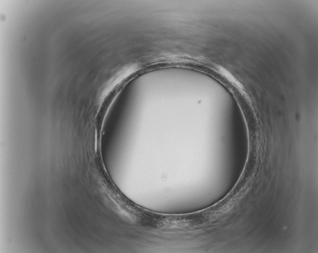 X0000087401269200705042026