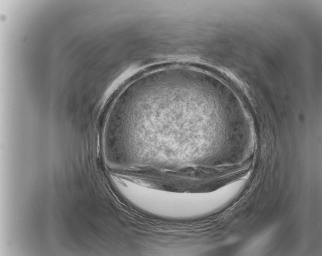 X0000087401271200705042026