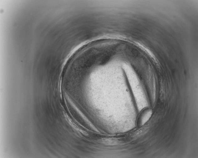 X0000087401272200705042026