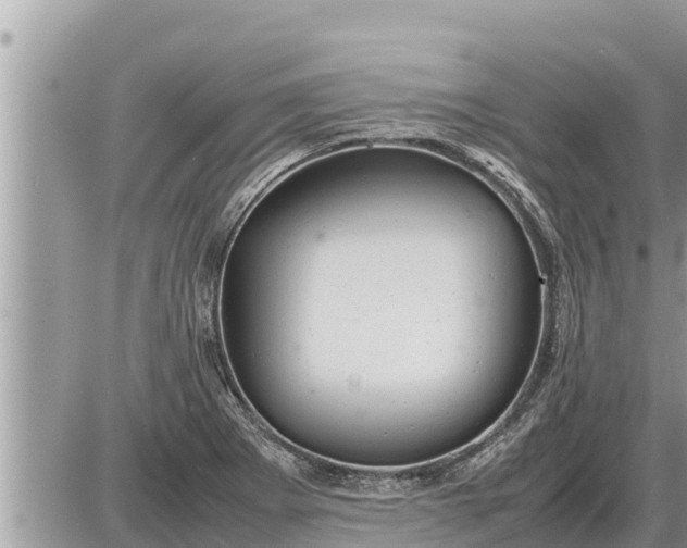 X0000087401273200705042026