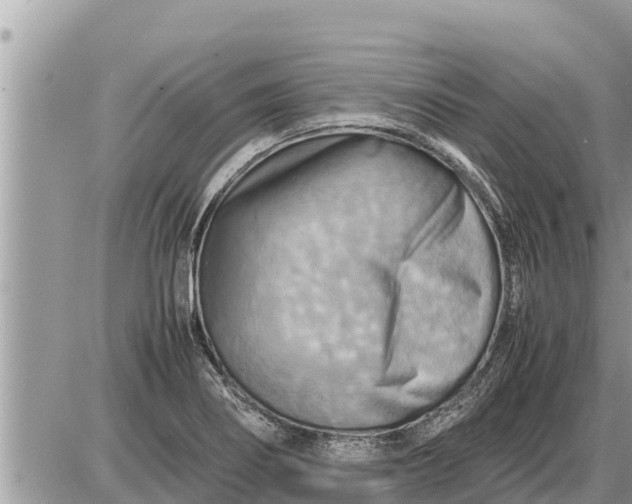 X0000087401274200705042026