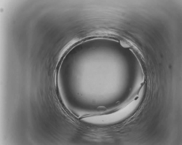 X0000087401275200705042026