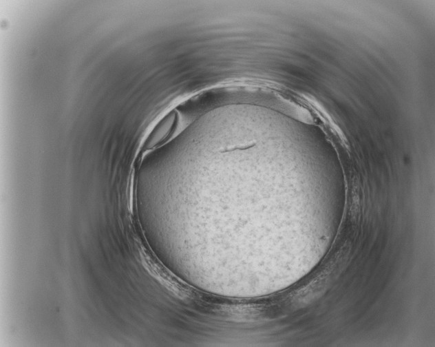 X0000087401276200705042026