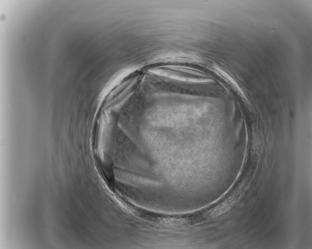 X0000087401277200705042026