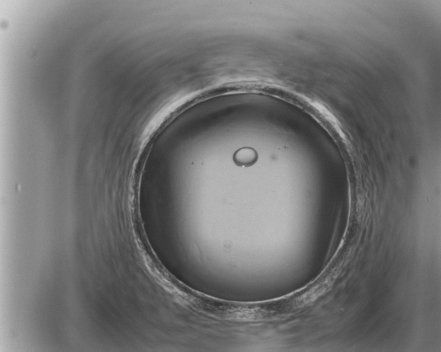 X0000087401279200705042026